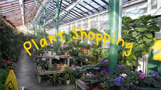 Houseplants at Green Thumb Nursery [upl. by Ocsirf]