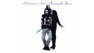 Shakespears Sister  Goodbye Cruel World Official Audio [upl. by Dilisio]