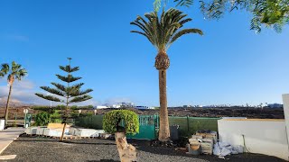 Hotel Aequora Suites  Lanzarote [upl. by Irene]