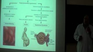 Hepatorenal syndrome prof Hasan El Asklany [upl. by Ancalin416]