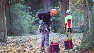 SKT A Baumklettern  arborfaktur Baumkletterschule im Schwarzwald [upl. by Gilder409]