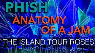 Phish  Anatomy of A Jam  Island Tour Roses Are Free 4398 [upl. by Elohcin]