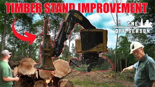 Timber Stand Improvement Part 1  Shelterwood vs Clearcut 47 Acres CUT  The Offseason S3 [upl. by Stannfield]