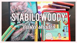 Review New Stabilo Woody Pastel Colours 🌸 [upl. by Nihi]