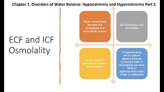 Hyponatremia Part 2 Pathogenesis [upl. by Atneciv]