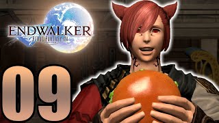 VRTRAS PAST and dinner with the SCIONS FFXIV ENDWALKER Part 09 『PS5』 [upl. by Nylidnarb518]