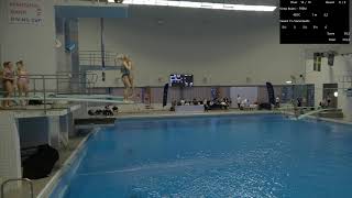 Marginalen Bank Diving Cuo 2023 Bgirls 3m [upl. by Enytsirk]