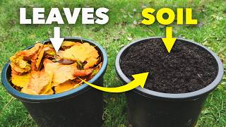 The Clever Way Smart Gardeners Make Amazing Soil [upl. by Banerjee]