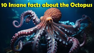 10 insane facts about the Octopus🐙 [upl. by Rohn631]