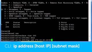 Force10 S4810 Configuring an interface or VLAN for L3 routing [upl. by Luo]