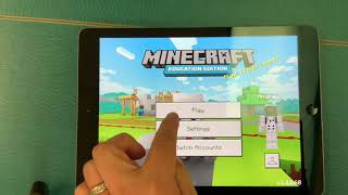 2nd Grade Minecraft EDU Instructions [upl. by Claude]