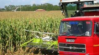 Claas Jaguar 960 e 850  Insilato stalla sociale di Monastier [upl. by Rothenberg]