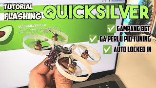 Tutorial Setup Quicksilver Tinywhoop [upl. by Gruchot]