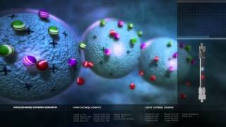 Ion Exchange Chromatography [upl. by Andromache]