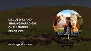 Ep 298 – Dawn Hnatow – Changing Stockmanship  Working Cows [upl. by Eimaraj914]