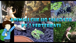 Animali che ho salutato pt2 Vertebrati [upl. by Sisto]