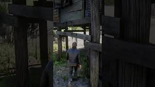 If you passed this place dont missed this  RDR2 [upl. by Melita]