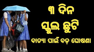 odisha school holiday for 3day 2024 school news odisha ସ୍କୁଲ ଛୁଟି ରହିବ ୩ ଦିନ [upl. by Nedrah]