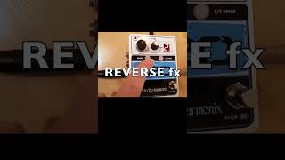 720 Looper Use quotREVERSEquot  Electro Harmonix [upl. by Belcher]