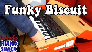 Fastest Roland JDXi synthesizer unboxing on YouTube and demo quotFunky Biscuitquot [upl. by Claiborn]