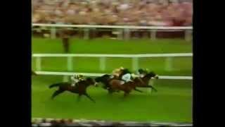 Athens Wood The 1971 St Leger Stakes Doncaster [upl. by Lull]