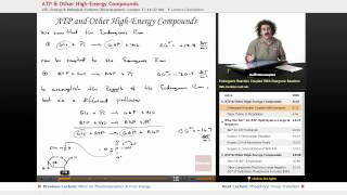 quotATP amp Other HighEnergy Compoundsquot  Biochemistry with Educatorcom [upl. by Gaiser]