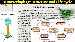 Bacteriophage structure and life cycle  Lytic and lysogenic life cycle of Bacteriophage [upl. by Attenauqa295]