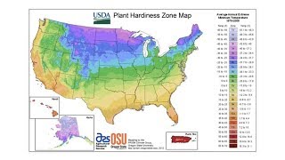 Plant Hardiness Zones  From the Ground Up [upl. by Ellary]