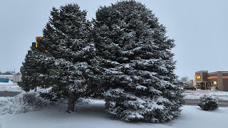 Blizzard Conditions in New Mexico  Clayton NM [upl. by Keelby]