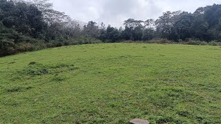 4 Acres of scenic view Land for sale in Sakleshpur [upl. by Kalb938]