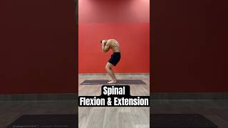 Spinal Flexion amp Extension Healthy Spine ShoulderBackSquat Activation [upl. by Ynnep]