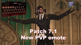 FF14  new emote quotAttendquot [upl. by Tenner]