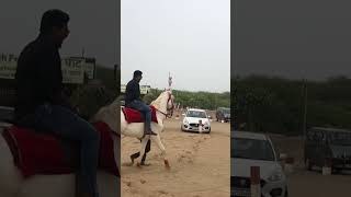 horse riding horselover viralvideo viralshorts instagram trending reels horsepower youtube [upl. by Arihsay]