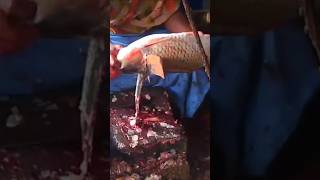 😱Fish Cutting Skills  Great Huge Bighead Carp Fish Cutting Live  shorts fish fishing food [upl. by Yatnahs766]