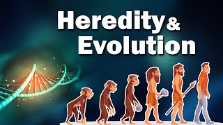 Class 10  Heredity and Evolution  Science 2  Maharashtra Board [upl. by Tezzil]