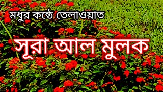 beautiful surah al mulk  beautiful quran tilawat  মধুর কন্ঠে তিলাওয়াত সূরা আল মুলক [upl. by Ahsiemal]