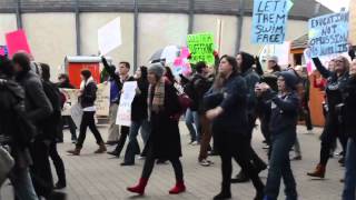 Voice for the Voiceless  Marineland Animal Rights Demonstration Canada [upl. by Cumings]