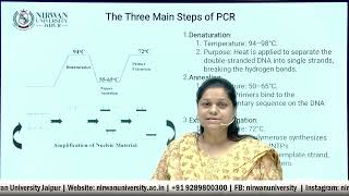 PCR and Primer Specificity Enhancing Amplification Accuracy  Dr Jyotsna Daymas Insights [upl. by Caesar]