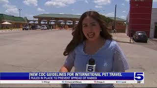 Valley residents must follow new CDC guidelines when traveling with dogs [upl. by Gabrila]