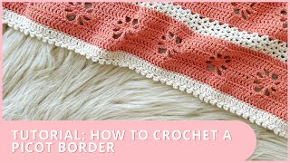 How to Crochet a Picot Edging  Easy Crochet Border  Beginner Tutorial [upl. by Dez]