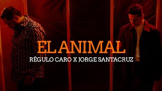 El Animal Video Oficial Régulo Caro x Jorge Santa Cruz [upl. by Ricca]