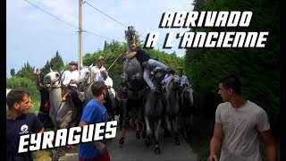 EYRAGUES Abrivado Ã lAncienne 22082018 ðŸ´ [upl. by Jemmie795]