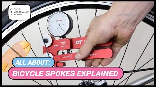 Bicycle Spokes Explained [upl. by Basir]