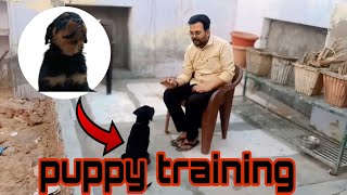 Rottweiler puppy training [upl. by Ymmot]