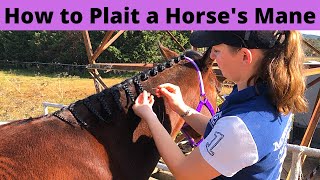 How to Plait a Horses Mane  Show Horse Preparation Plaiting Tips  How to Braid a Horses Mane [upl. by Kerrison]