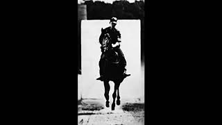 1887  Gallop Saddled with Rider Thoroughbred Bay Horse Bouquet  Eadweard Muybridge [upl. by Deloris]