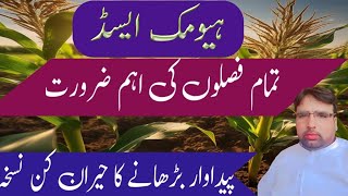 Benefits of Humic Acid Use of Humic Acid in CropsGhulam Shabeer Velogs [upl. by Eleanora]