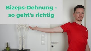 Richtig Dehnen 9  so dehnst du deinen Bizeps richtig [upl. by Aizirtap]