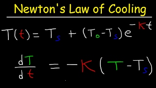 Newtons Law of Cooling Calculus Example Problems Differential Equations [upl. by Eimas525]