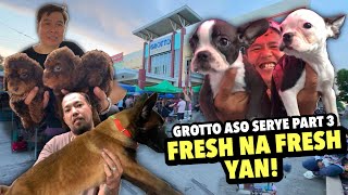 DAGSA NA NAMAN MGA PETS SA GROTTO  GROTTO PET MARKET UPDATE  NOVEMBER 17 2024 [upl. by Thenna]